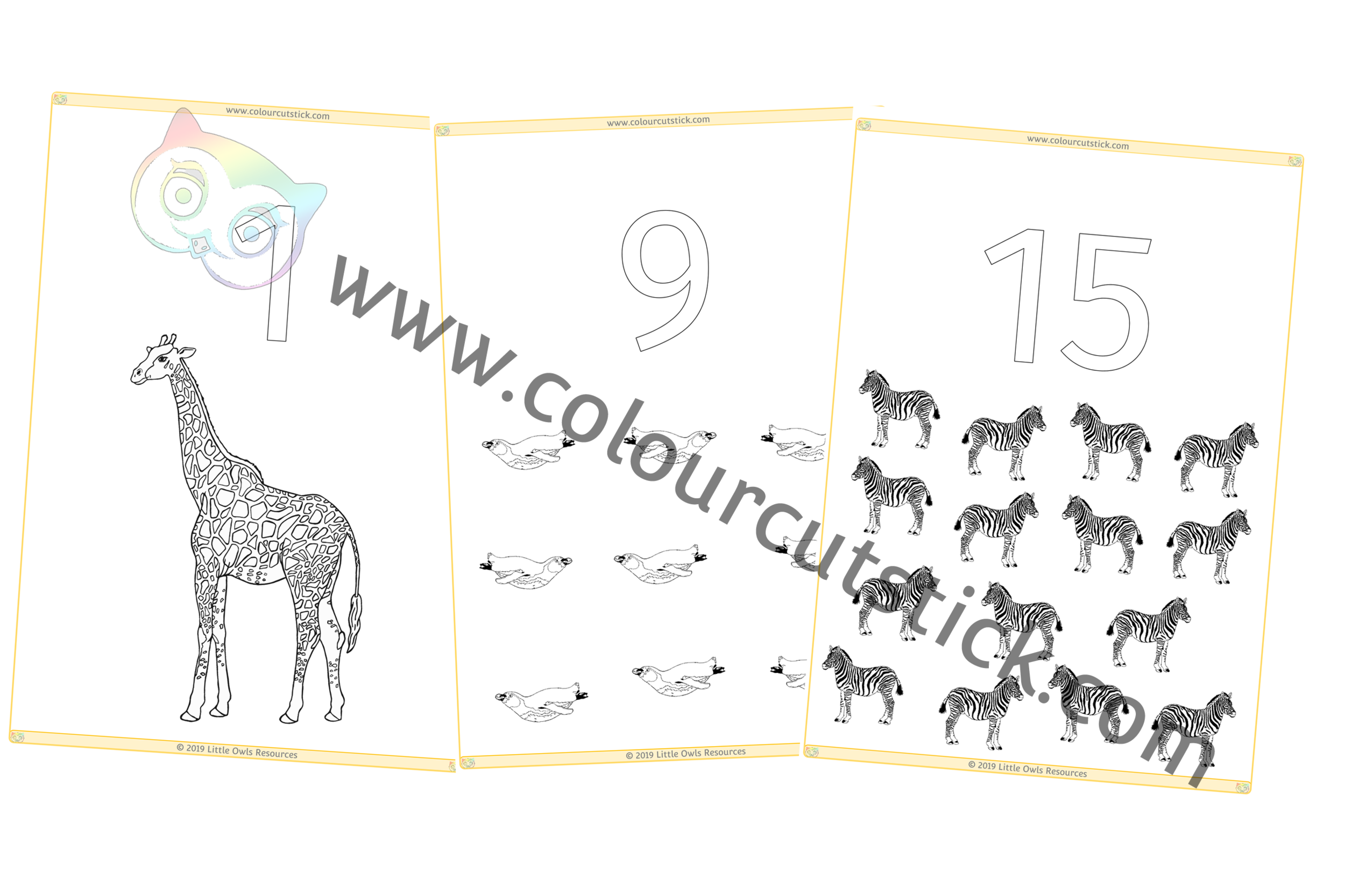 zoo little owls resources free
