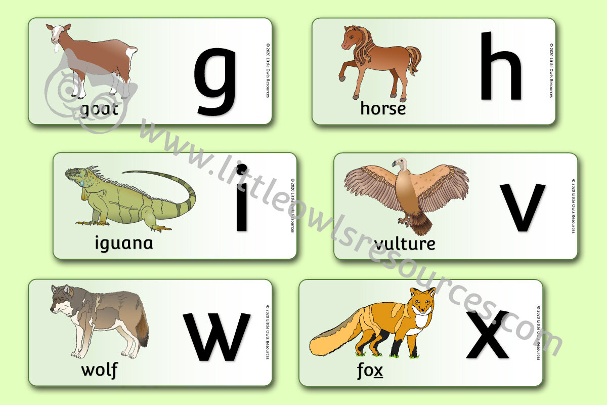 FREE Animal Horizontal Flash Cards (Lower Case) printable Early Years/EY  (EYFS) resources/downloads — Little Owls Resources - FREE