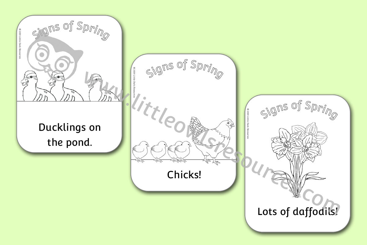 FREE Signs of Spring Colouring printable Early Years/EY (EYFS) resource
