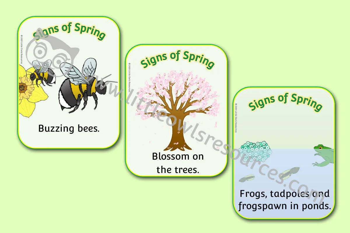 FREE Signs of Spring printable Early Years/EY (EYFS) resource/download