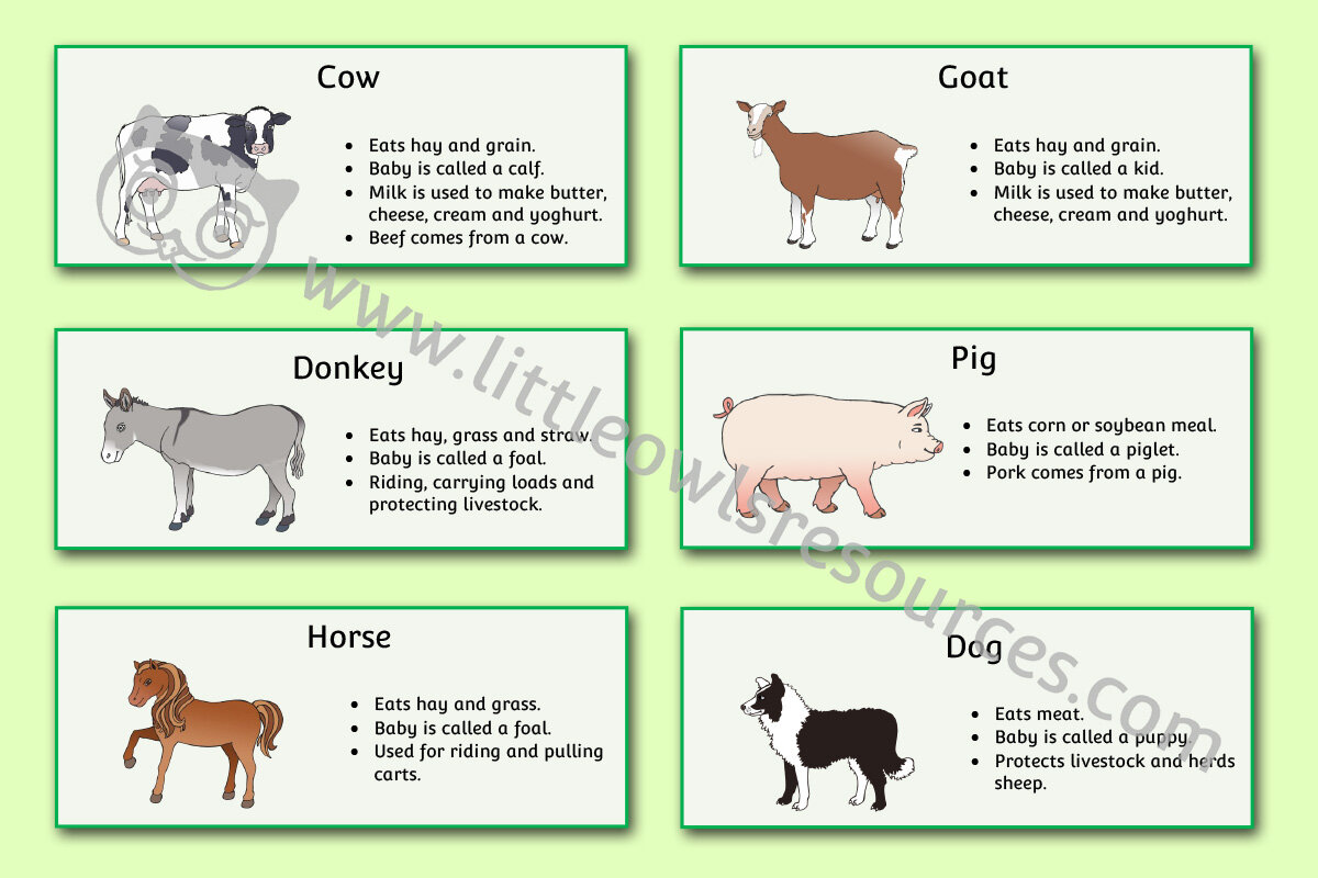 FREE Farm Animal Pictogram printable Early Years/EY (EYFS)  resource/download — Little Owls Resources - FREE