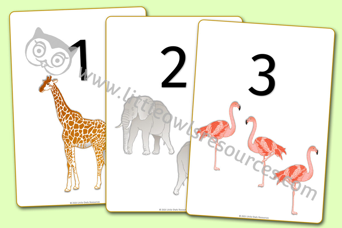 FREE Zoo Animal Counting 0-20 printable Early Years/EY (EYFS)  resource/download — Little Owls Resources - FREE