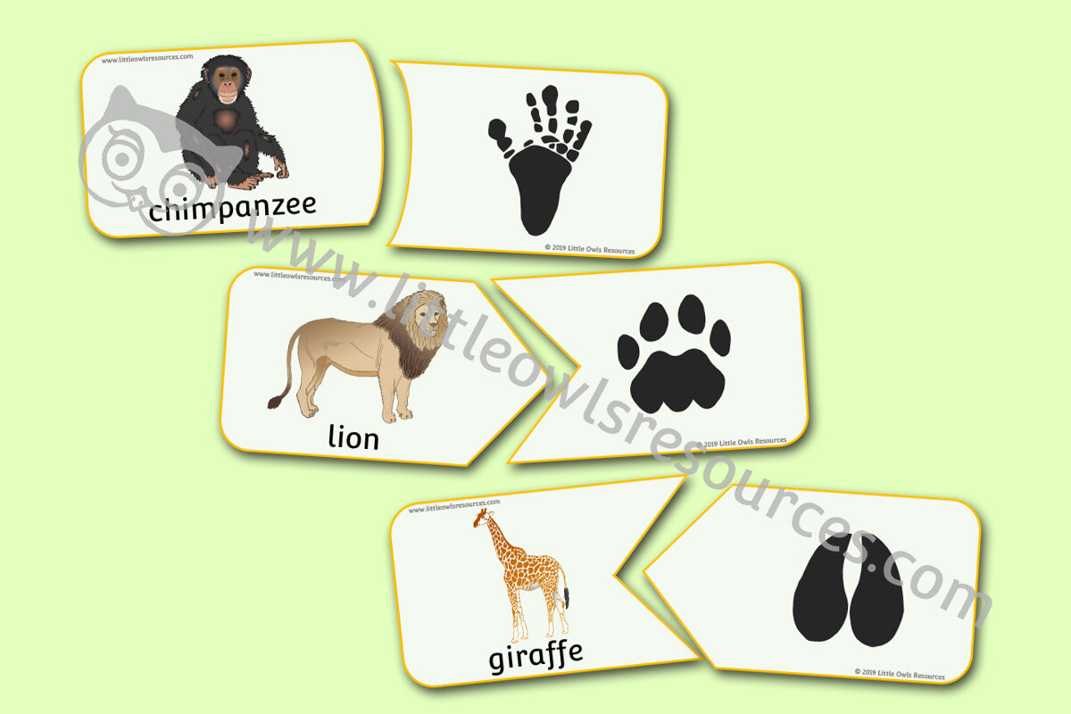 FREE Zoo Animal Match Footprints printable Early Years/EY (EYFS)  resource/download — Little Owls Resources - FREE