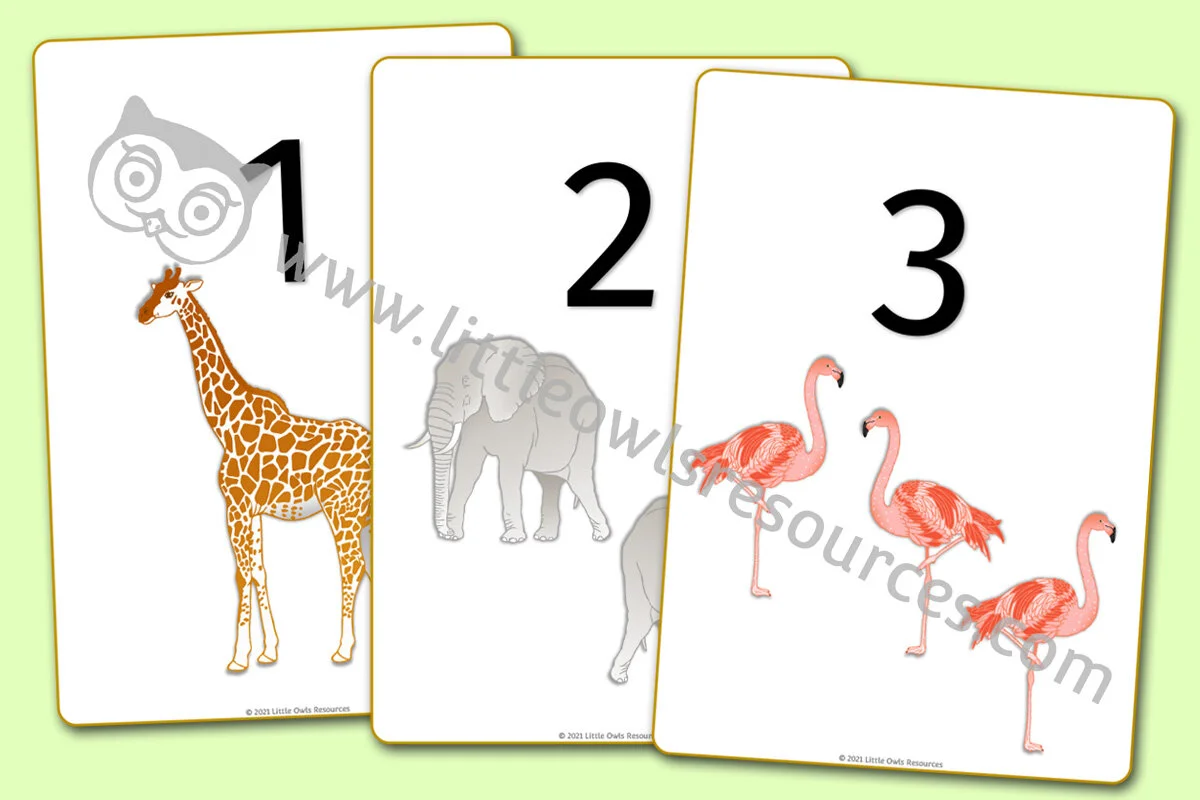 zoo little owls resources free