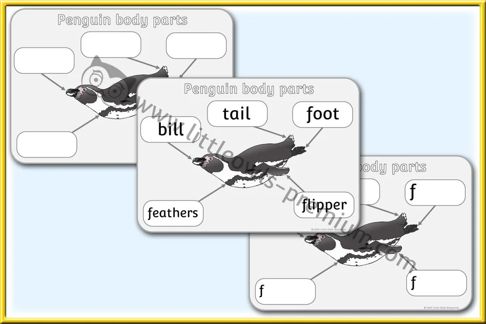 free create zoo map printable early years ey eyfs resource download little owls resources free