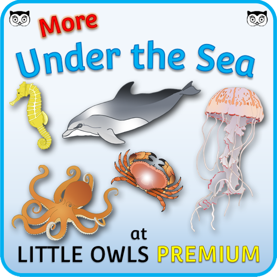 FREE Sea Animal Fact Cards Early Years (EYFS) Printable Resource ...