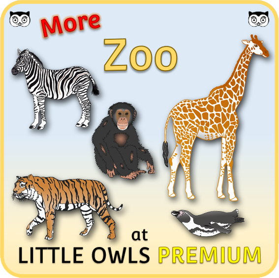 zoo little owls resources free