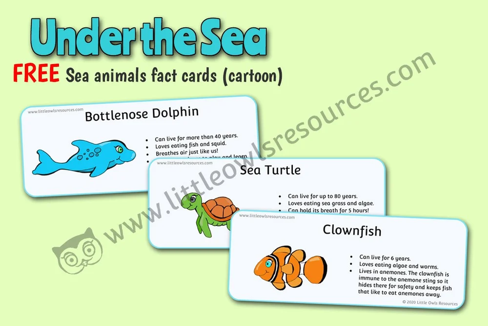 FREE Sea Animal Fact Cards Early Years (EYFS) Printable Resource ...