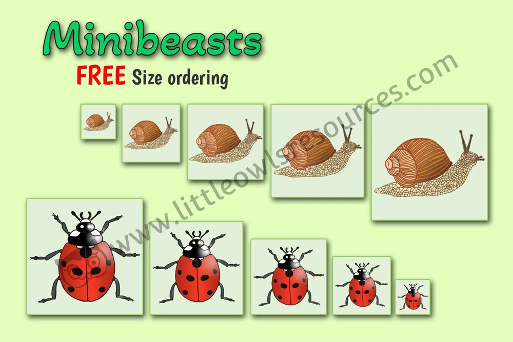 FREE MINIBEASTS printable Early Years/EYFS/preschool/childminder ...