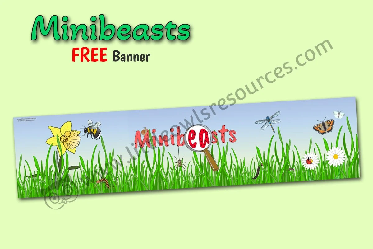 FREE MINIBEASTS printable Early Years/EYFS/preschool/childminder ...