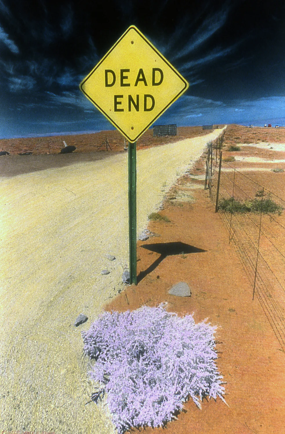 Dead End Sign.jpg