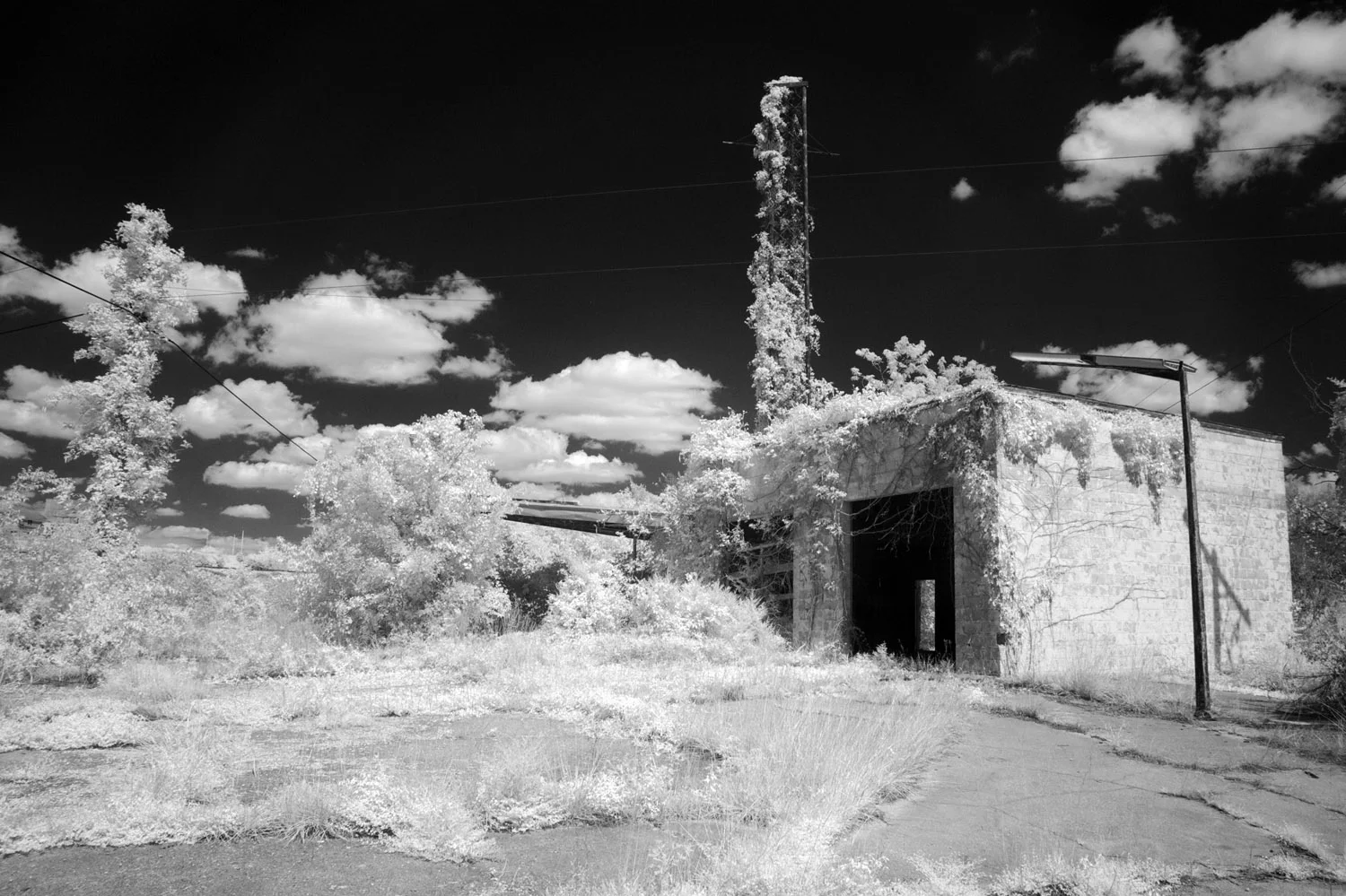 Phillips66Station.1500dpi.jpg