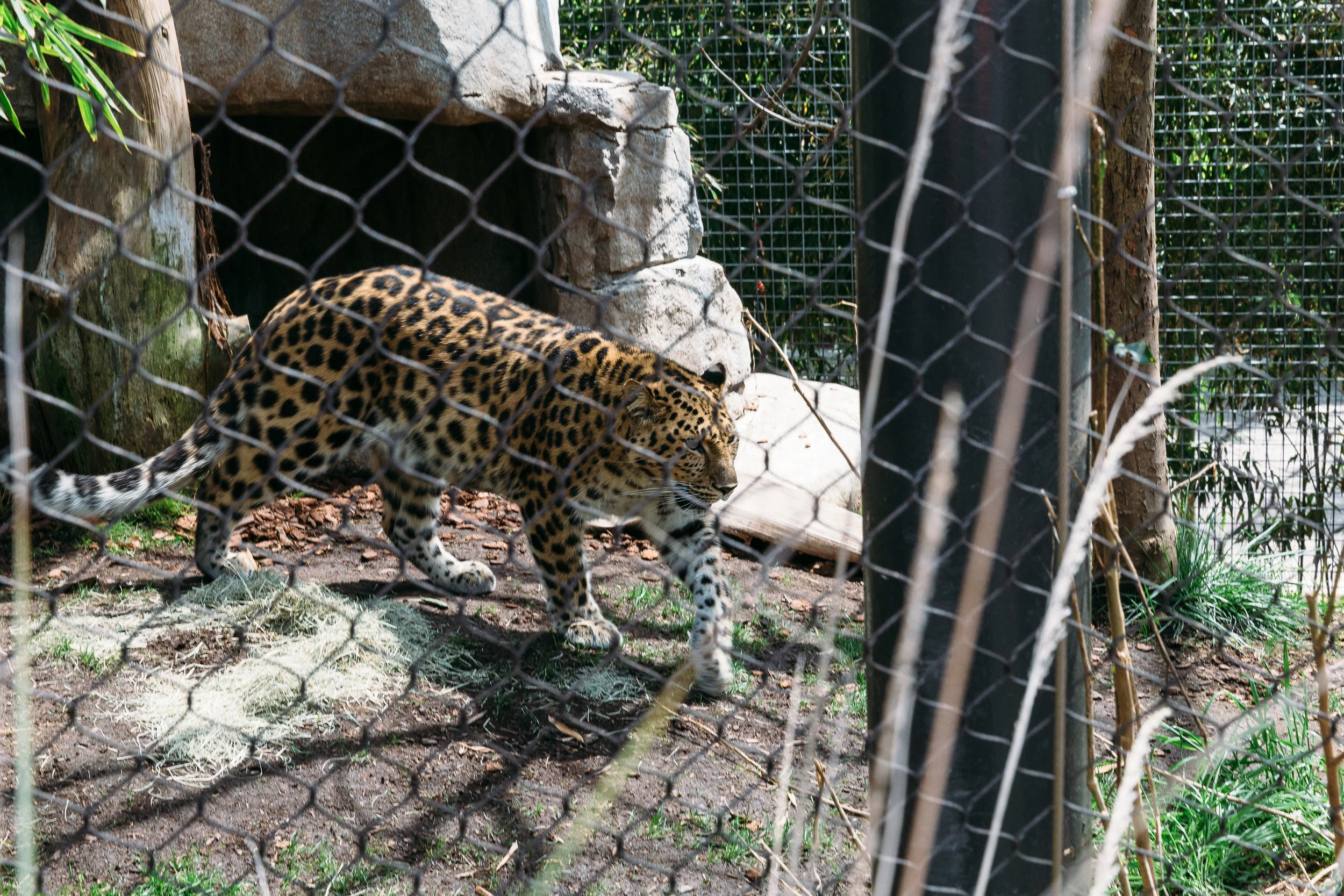 108-IMG_0915.jpg