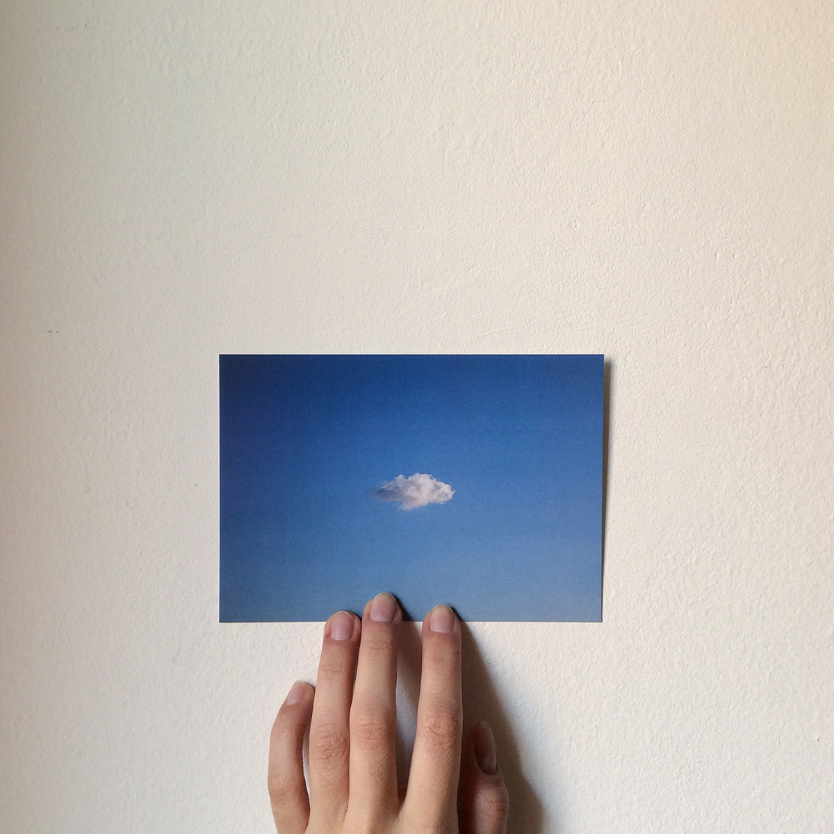 Photograph by Maria Daniella Quirós