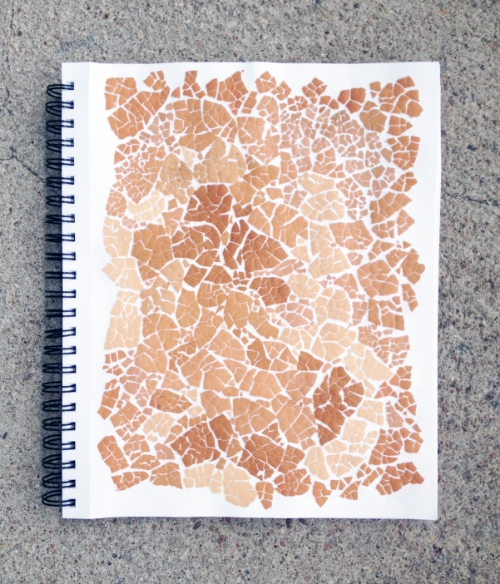 eggshells