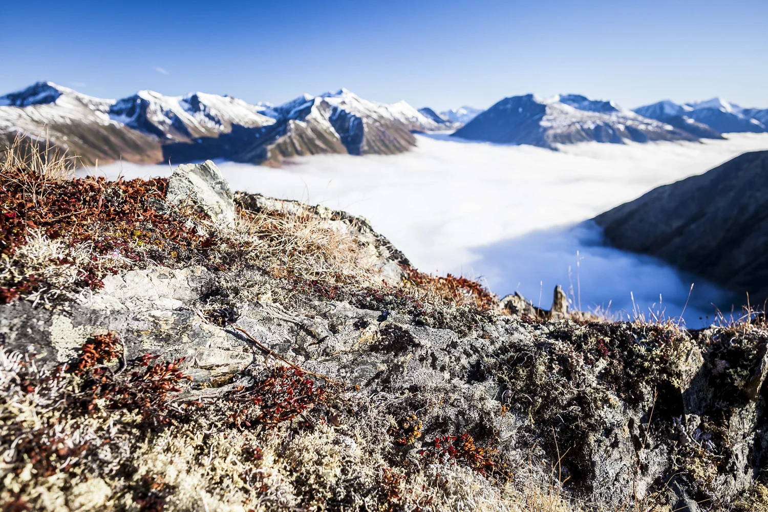 Summit Creek HIlside & Lychen Julian LK Seward ak.jpg
