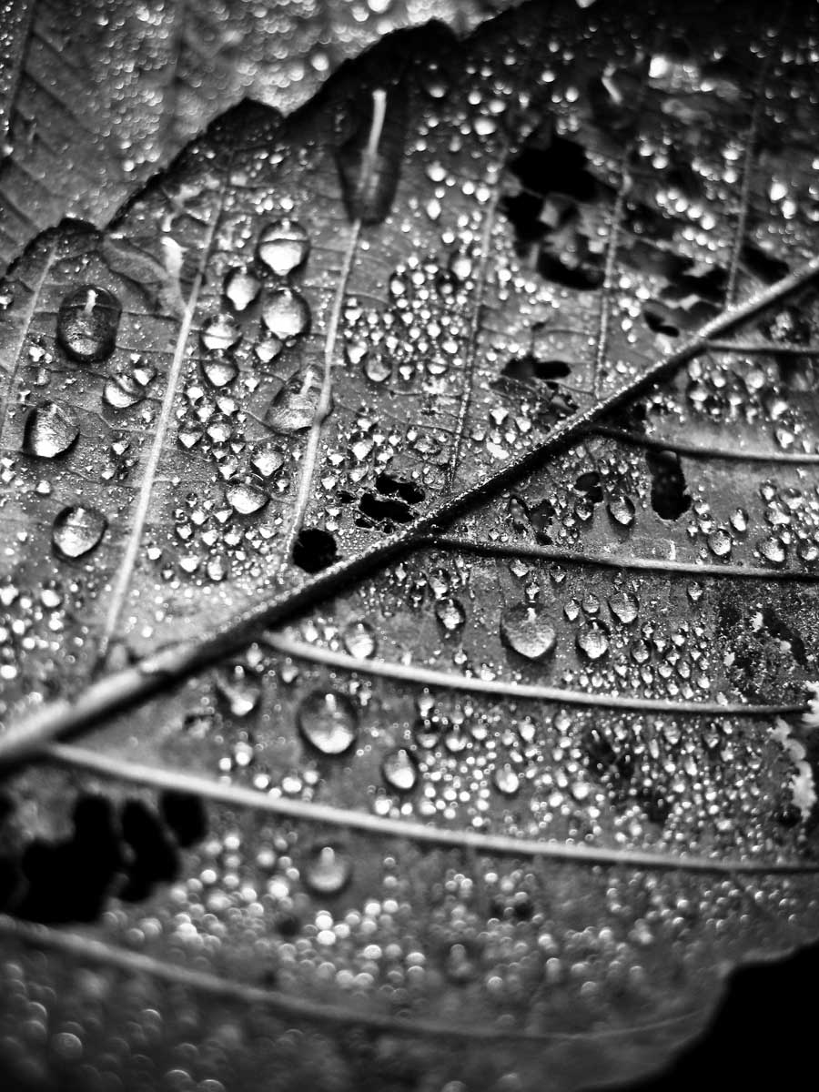 Keen-EyePhoto-dot-com_In the wild 1 (10).jpeg