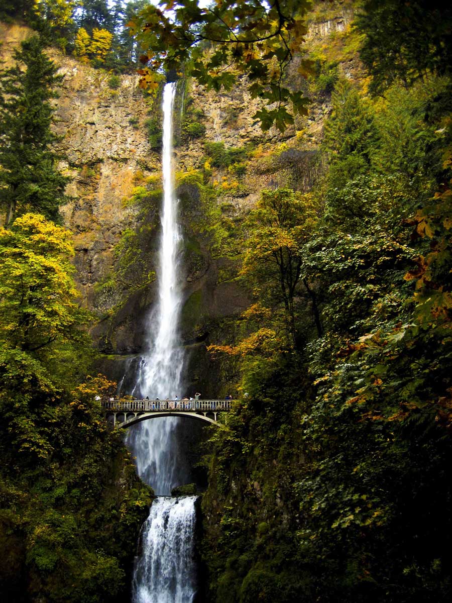 Fall in the Columbia Gorge