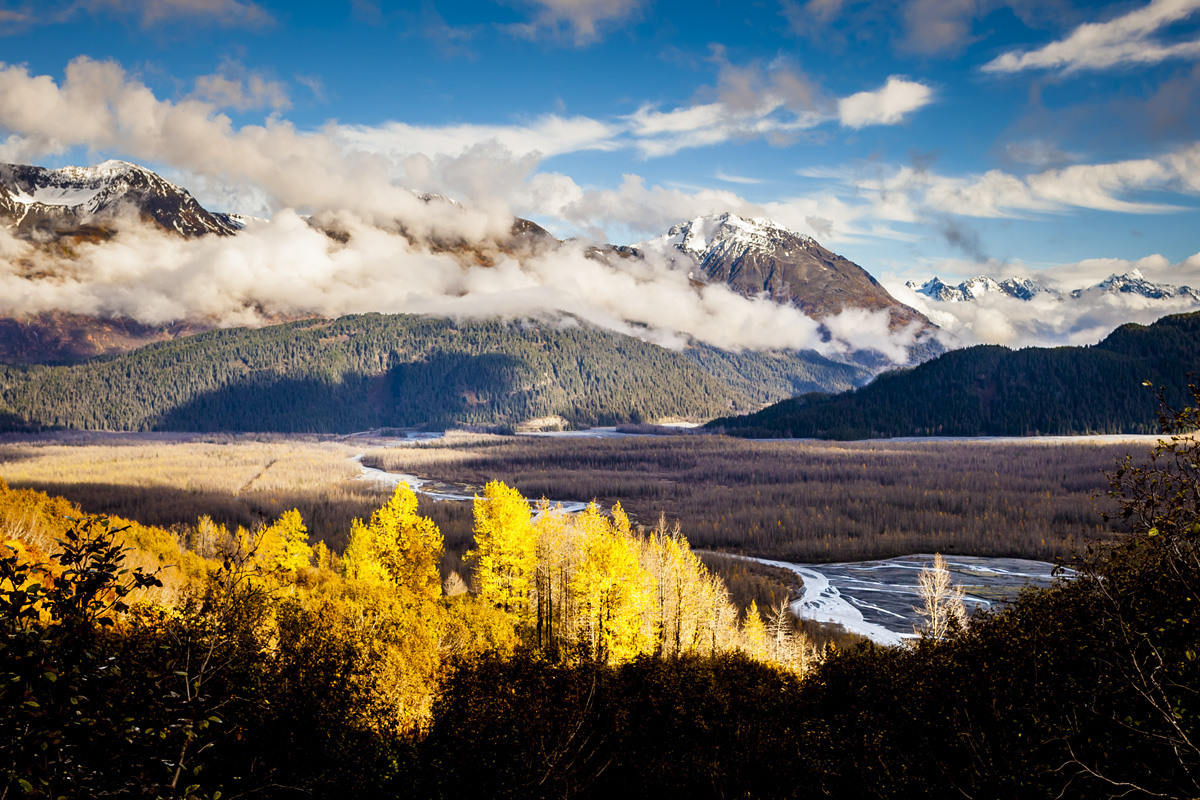 _MG_9237.jpg