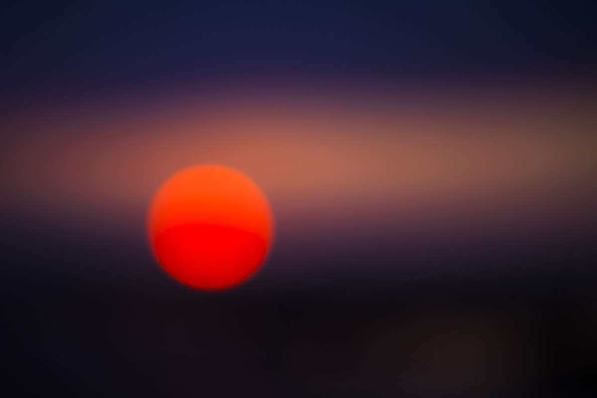 _MG_2816.jpg