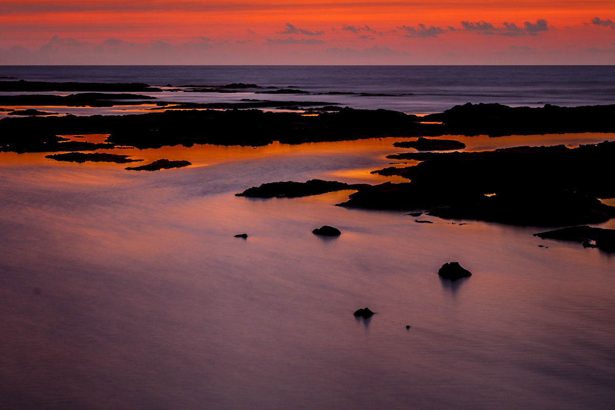 _MG_2867.jpg