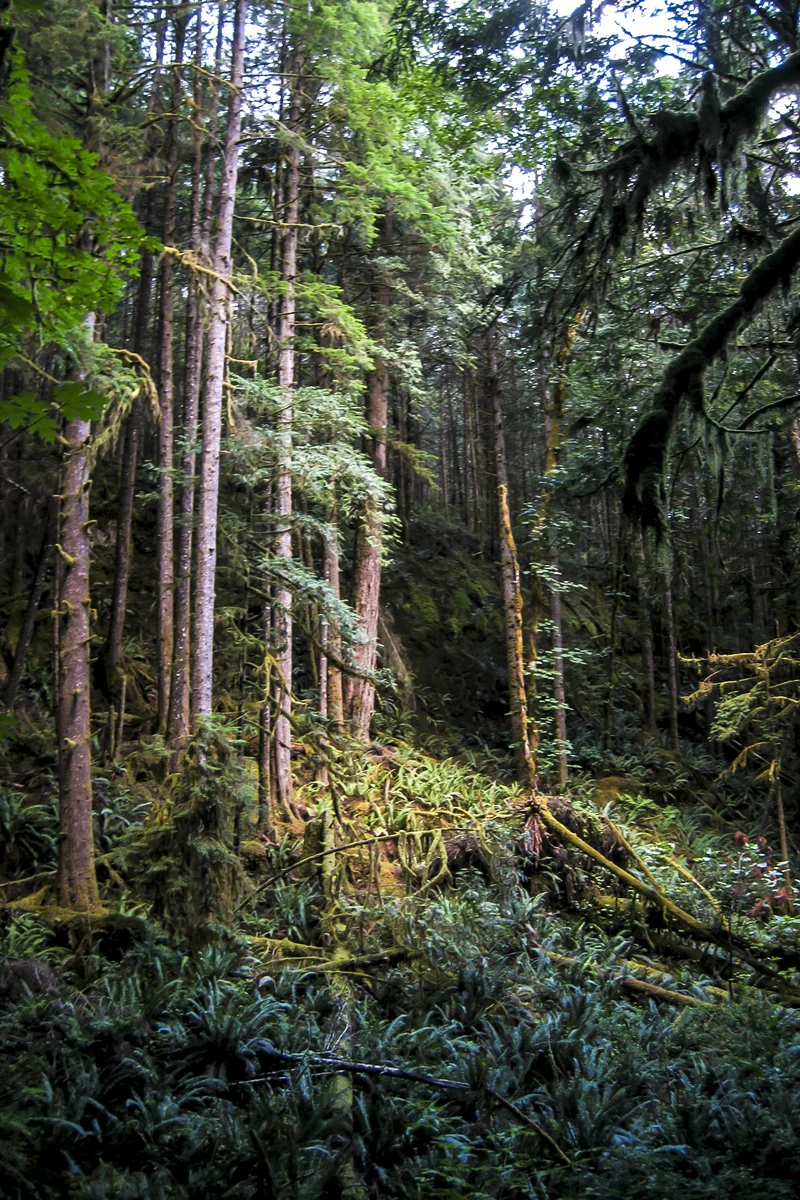 british columbia 093.jpg