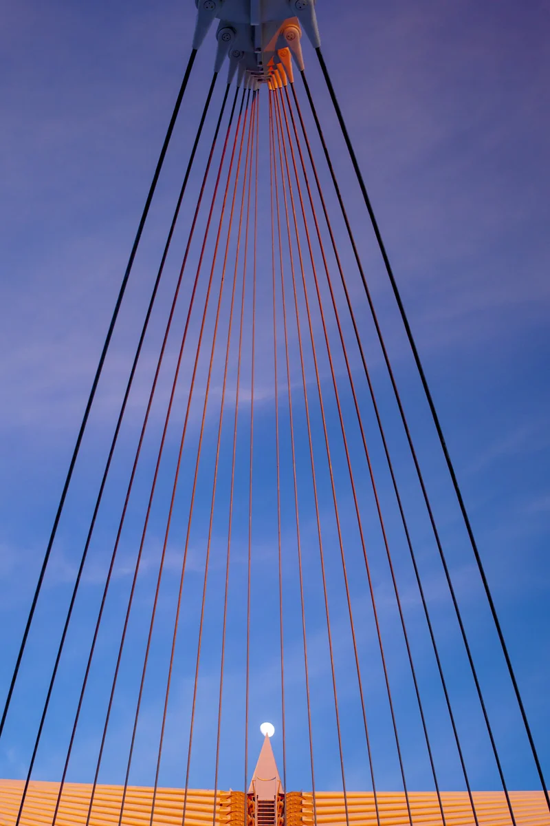_MG_1310.jpg