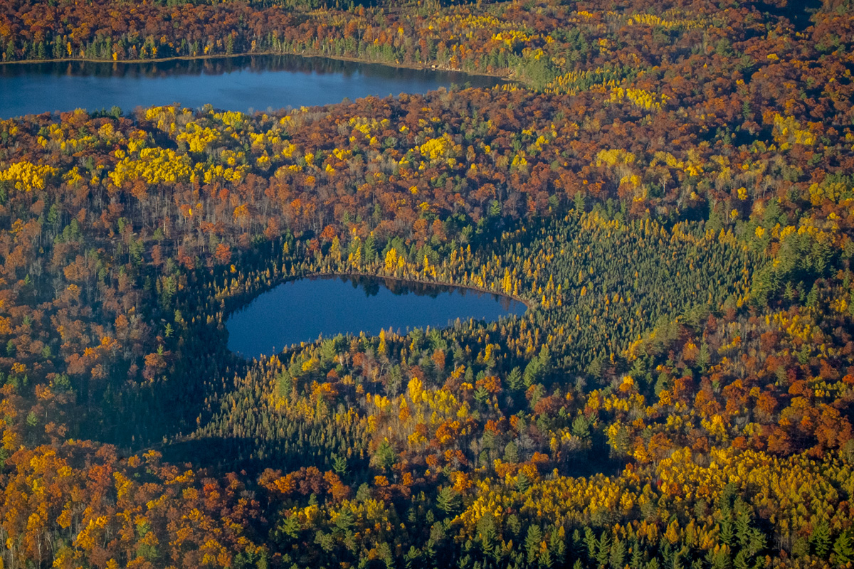 _MG_4076.jpg