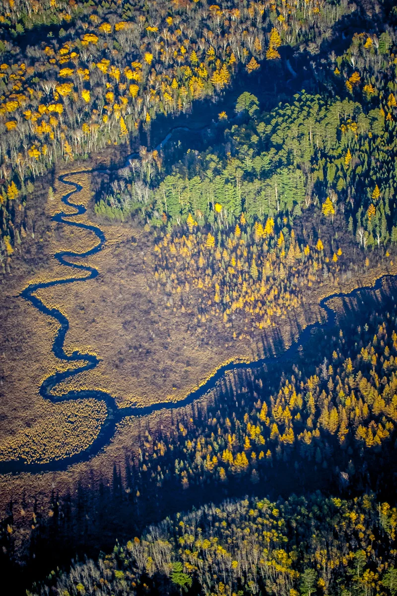 _MG_4185.jpg