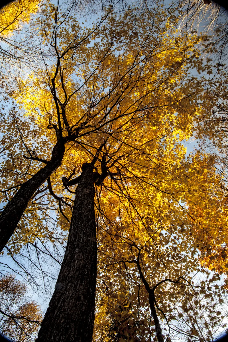 _MG_5123.jpg