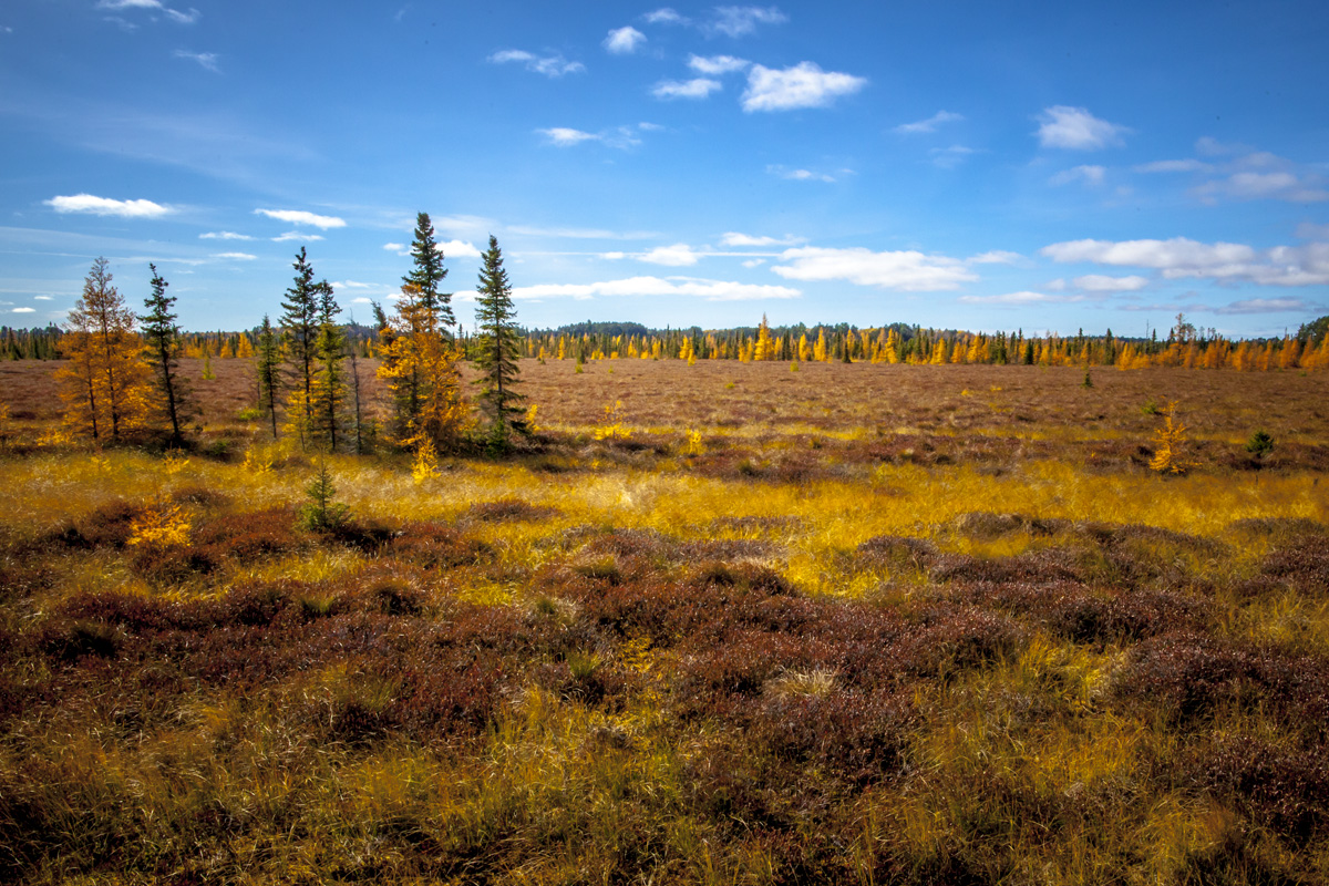 _MG_5605.jpg
