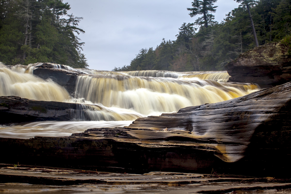 _MG_6075.jpg