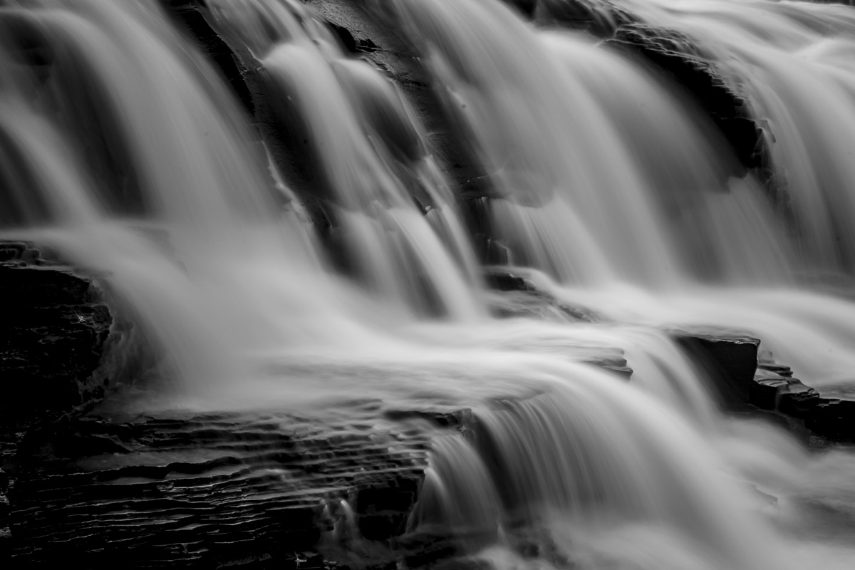_MG_6193.jpg