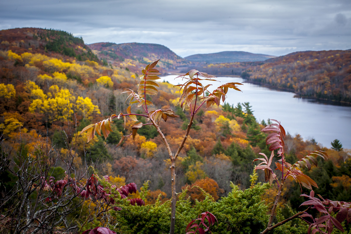 _MG_6406.jpg
