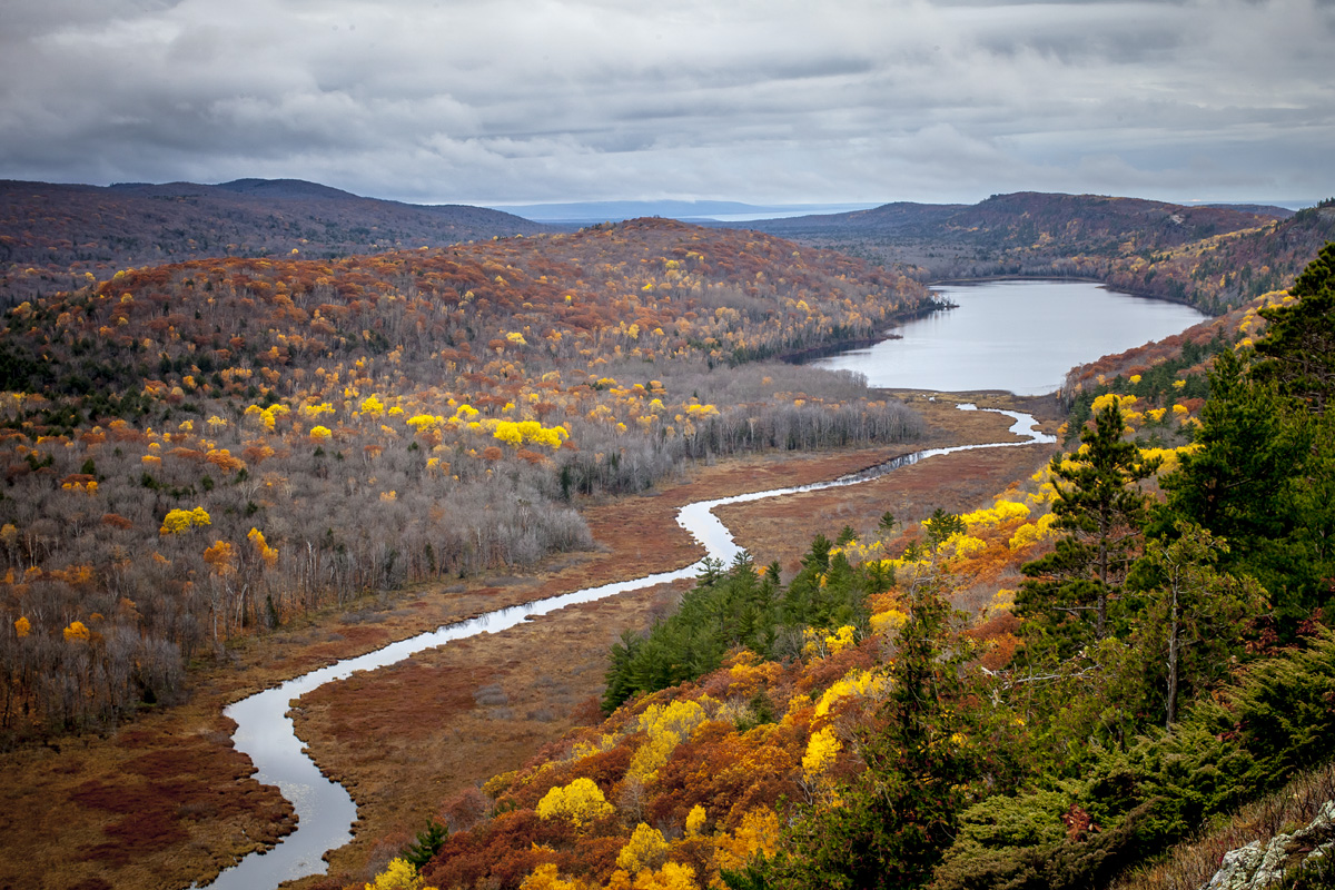 _MG_6453.jpg
