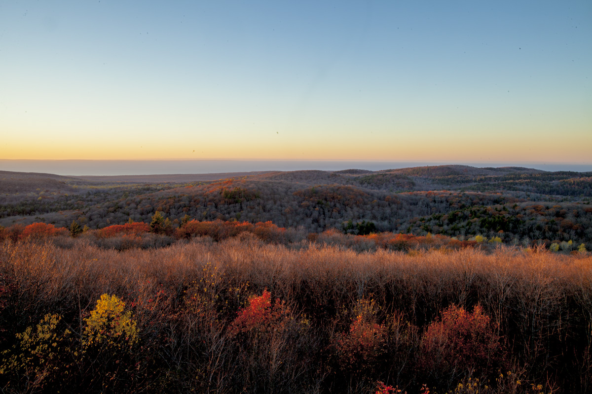 _MG_6786.jpg