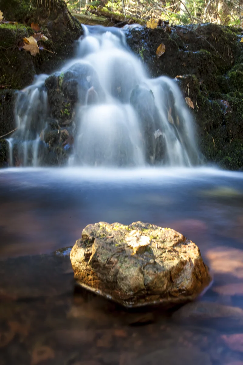 _MG_6865.jpg