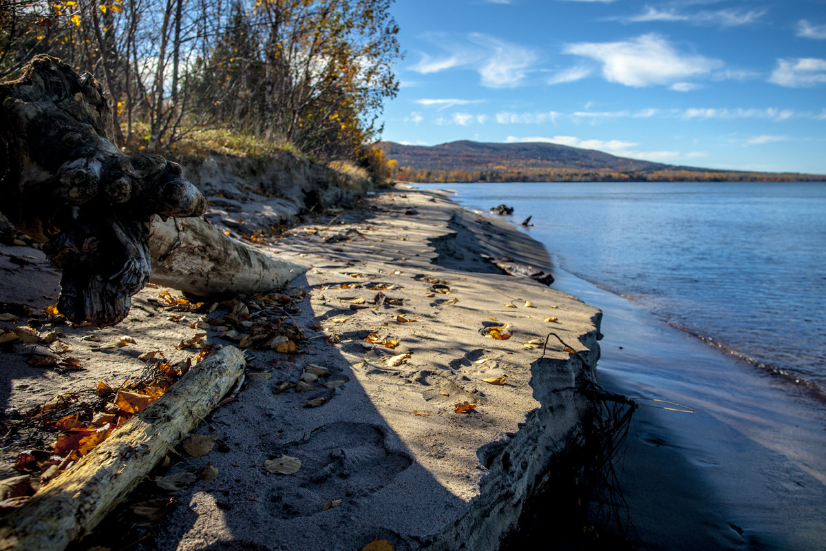 _MG_7094.jpg