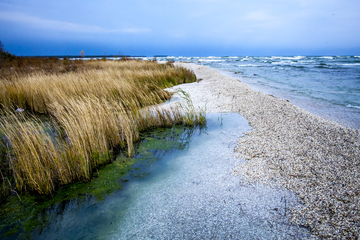 _MG_7572.jpg