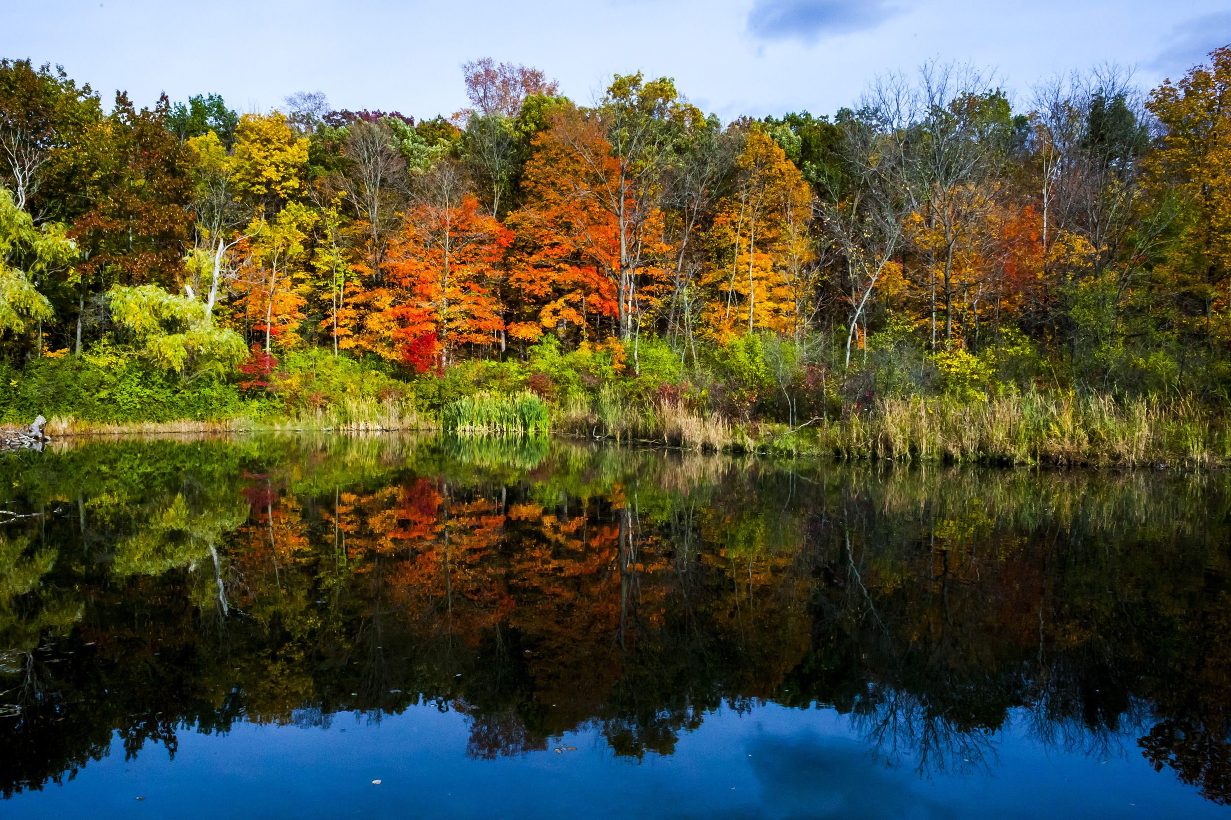 Root River Parkway, Near Whitnall Park. Milwaukee, WI
