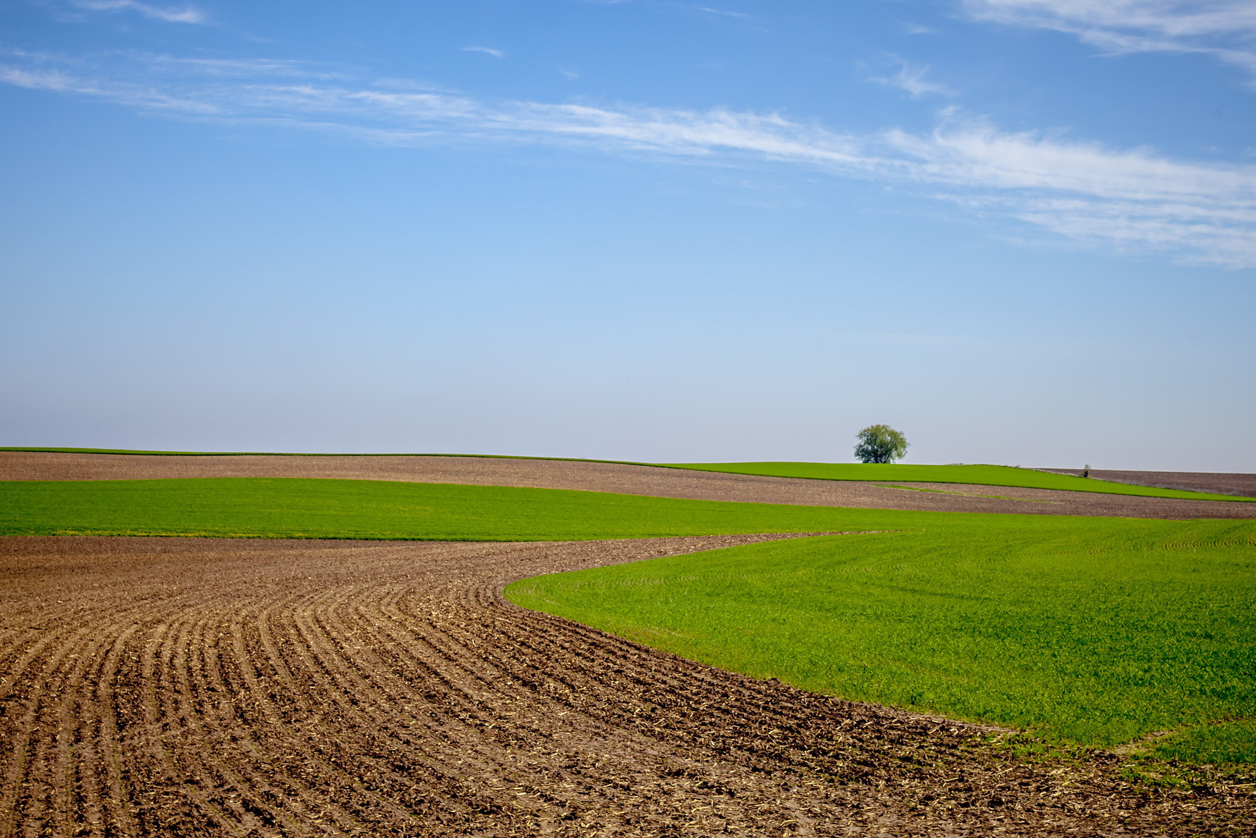 Wisconsin Fields of green. Near Lodi, WI.