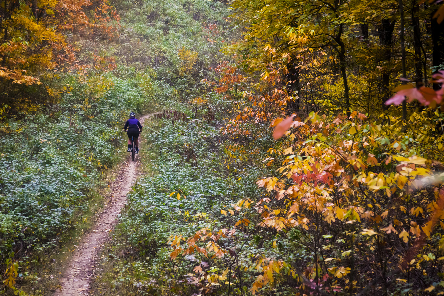 Yankee Spring Mountain Bike Trails - Near Middleville Michican