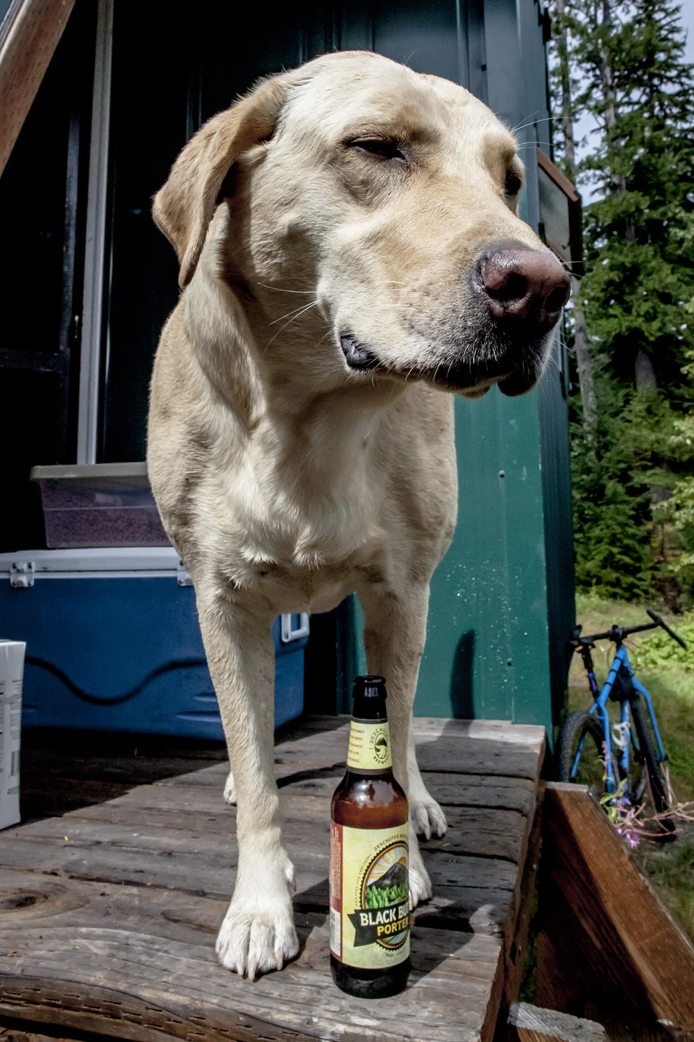 Woof. What a day.