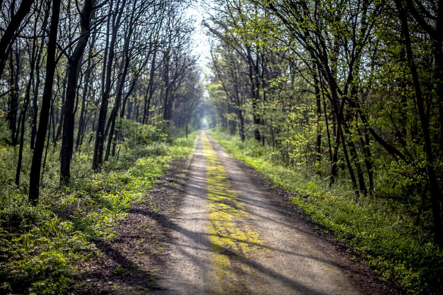 Where will your bike take you?