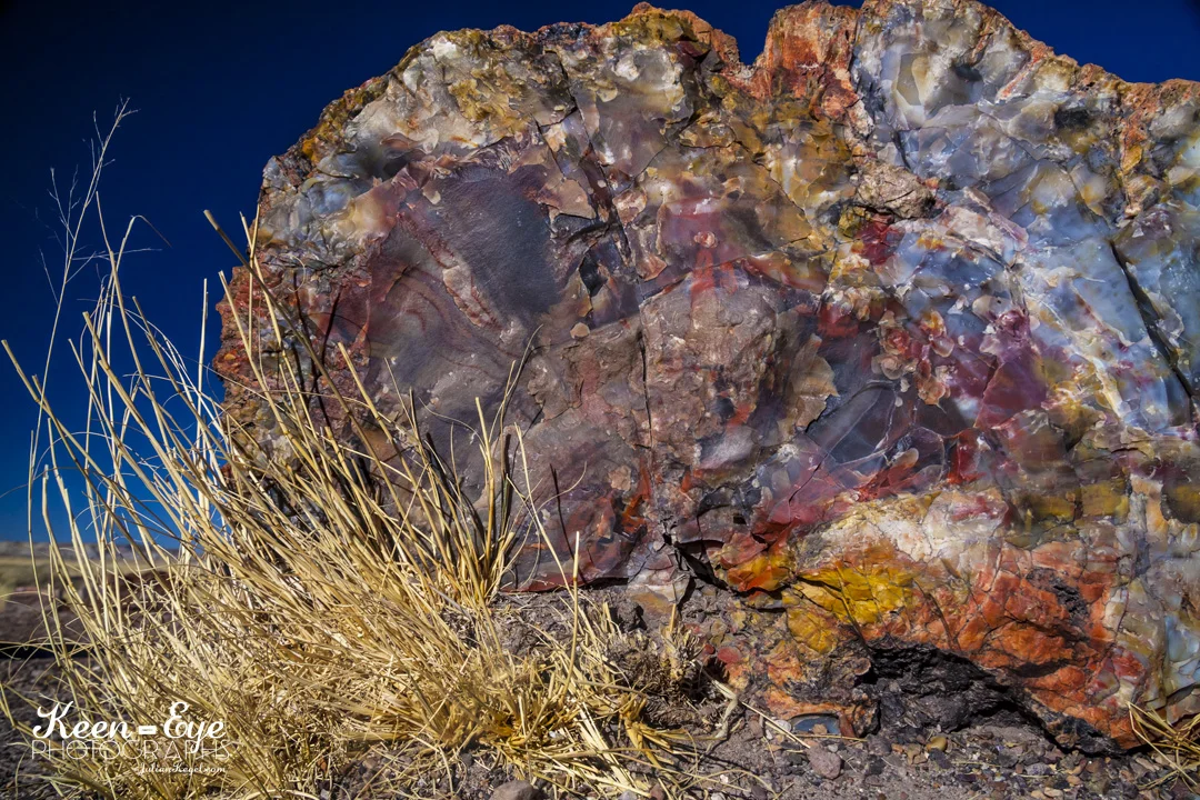 Grand Canyon_4321.jpg