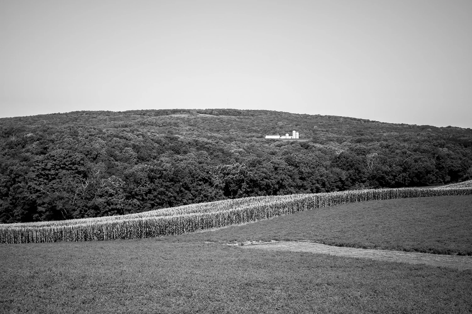 _MG_6517.jpg