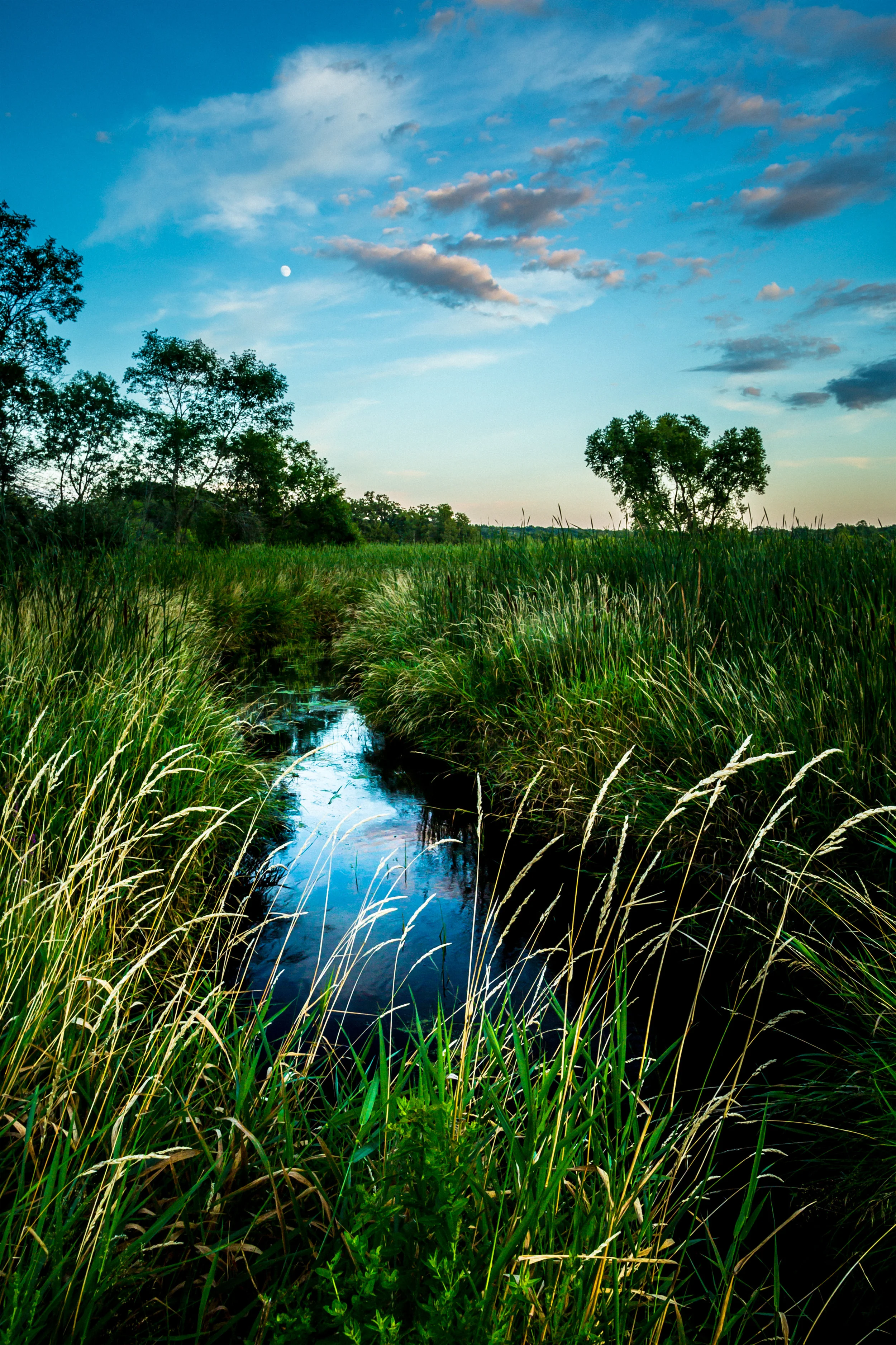 Little Oconomowoc River Headwaters at Camp Quad as Smart Object-2.jpg