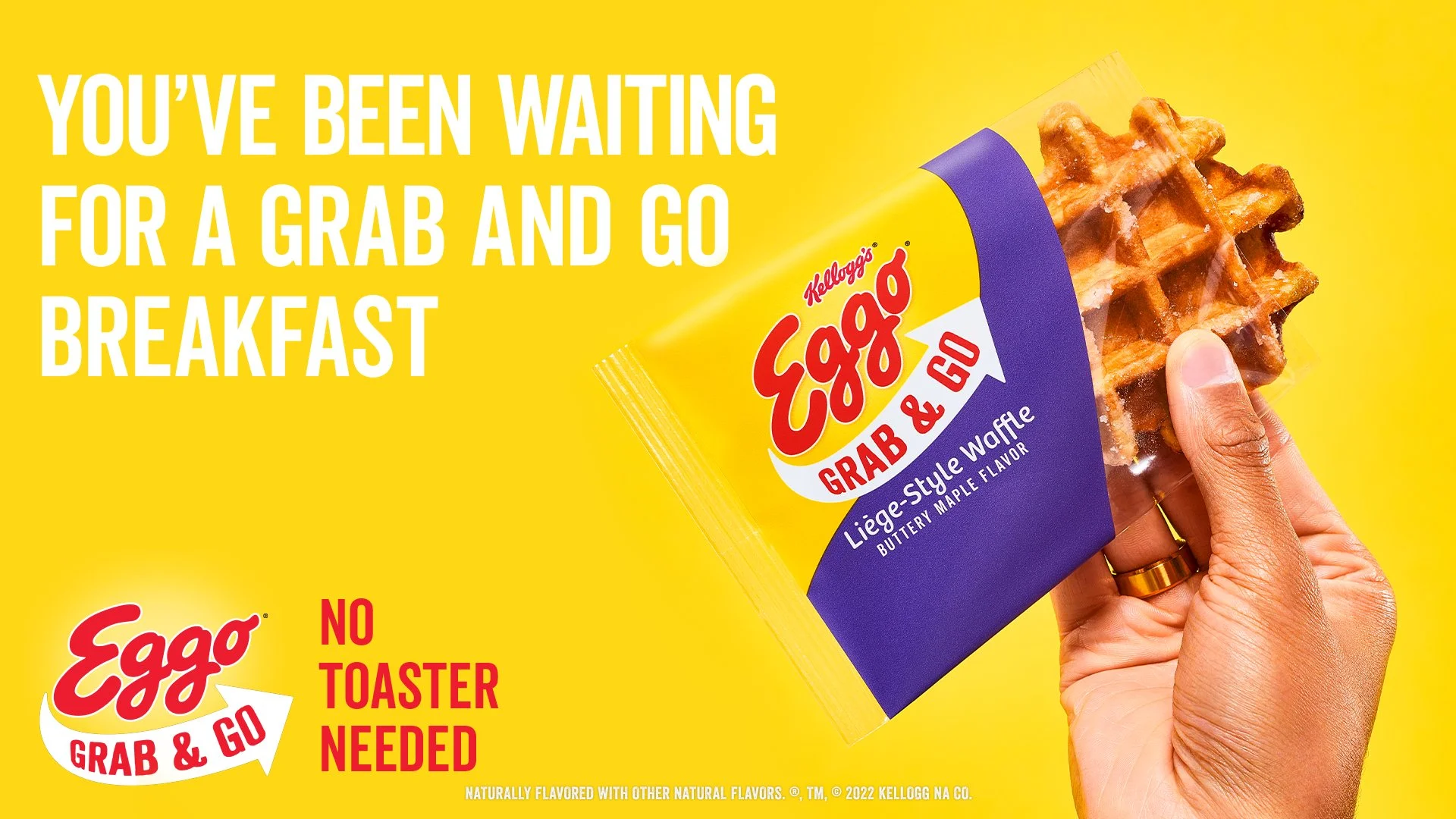 EGGOLiege_DOOH Transit_1920x1080_7_31_22.jpg