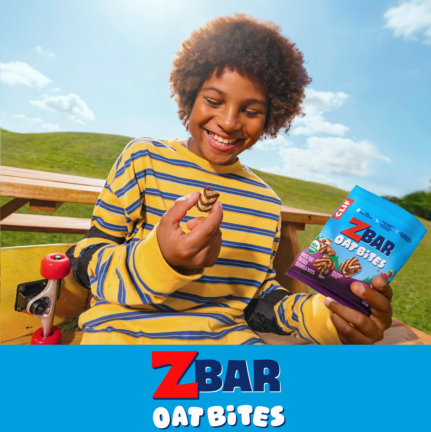 Z-Bar Oat Bites.png