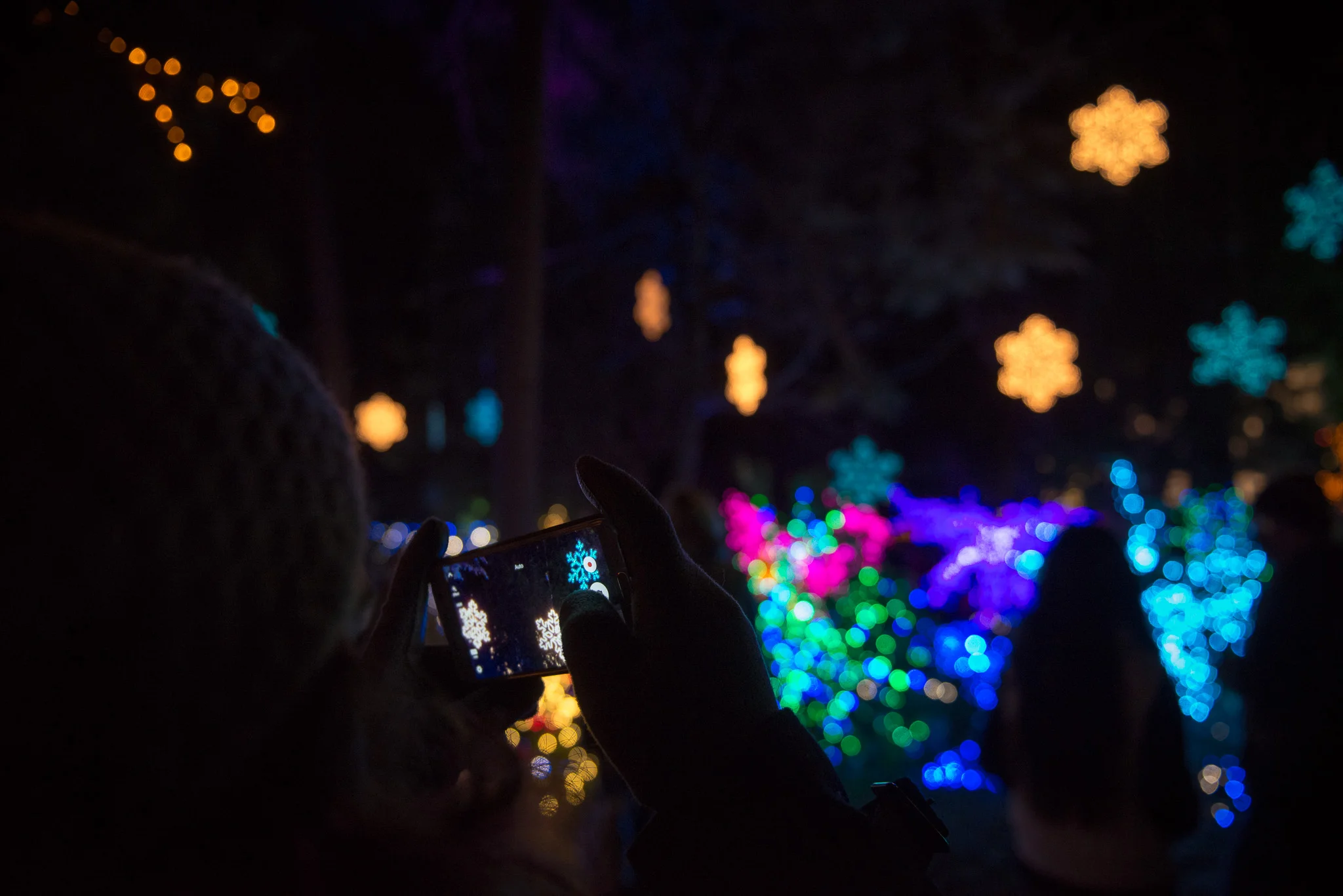 The Grotto's Festival of Lights on Christmas Eve.